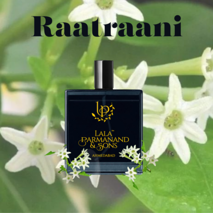 Raatraani