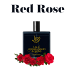 Red Rose